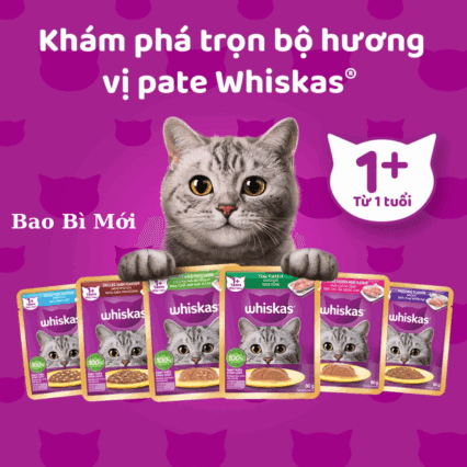 Pate Whiskas gói 80gr