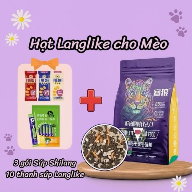 Langlike mèo siêu topping - Ảnh 2