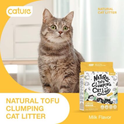 Cát đậu nành Cature hàng nội địa