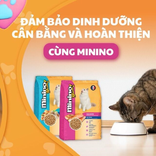 Hạt Minino Yum - Ảnh 5