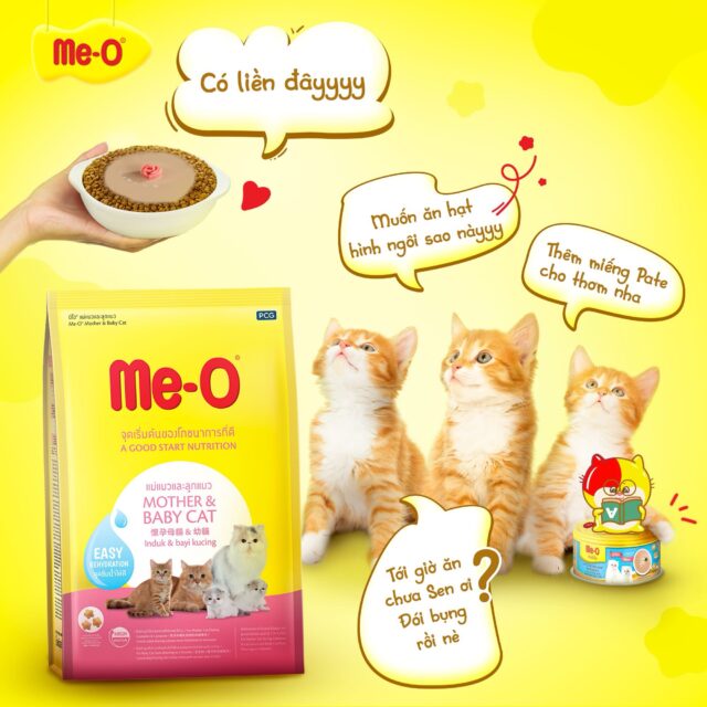 Hạt Me-o - Ảnh 4