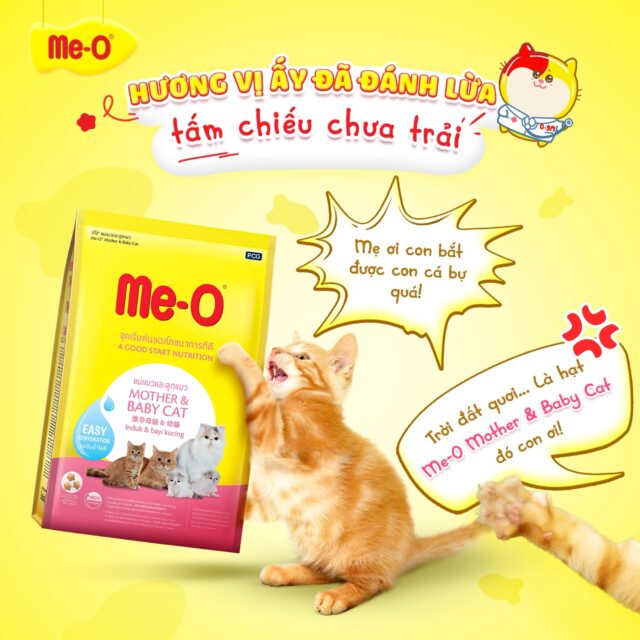 Hạt Me-o - Ảnh 3