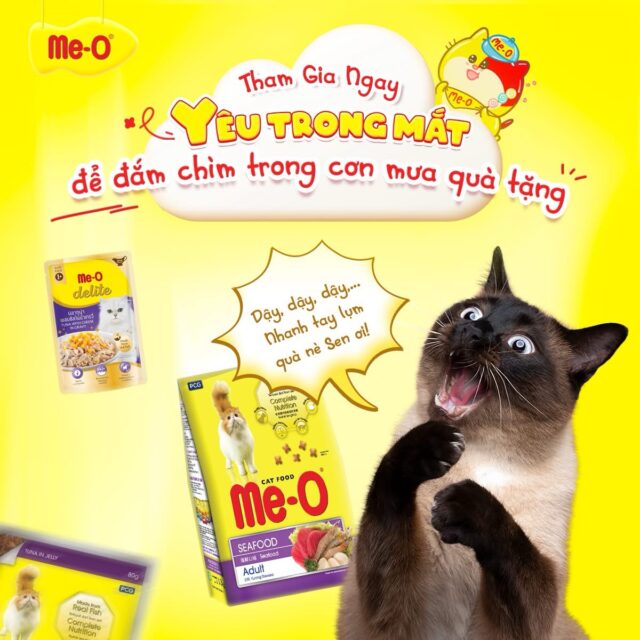 Hạt Me-o - Ảnh 2