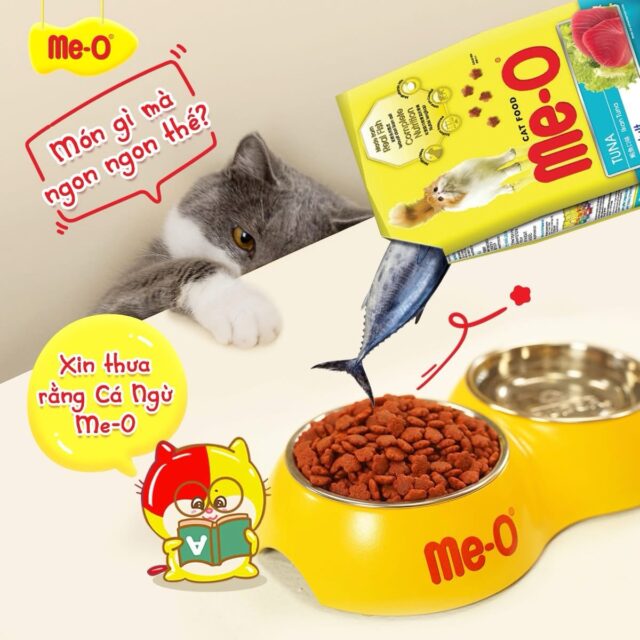 Hạt Me-o - Ảnh 5