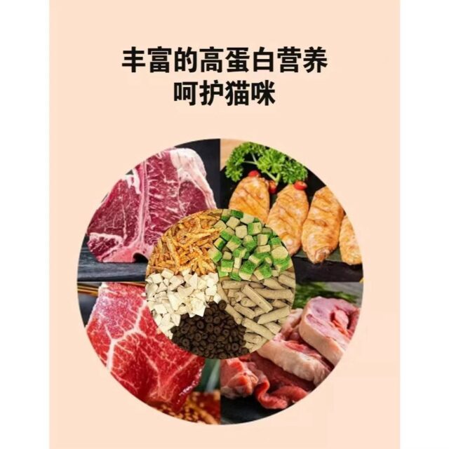 Hạt Shilang A3 - Ảnh 2