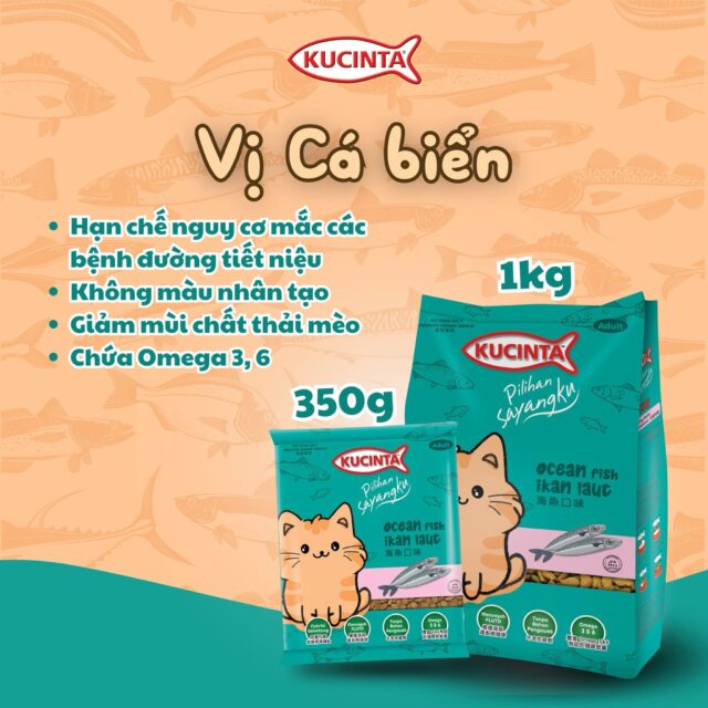 Hạt Kucinta - Ảnh 4