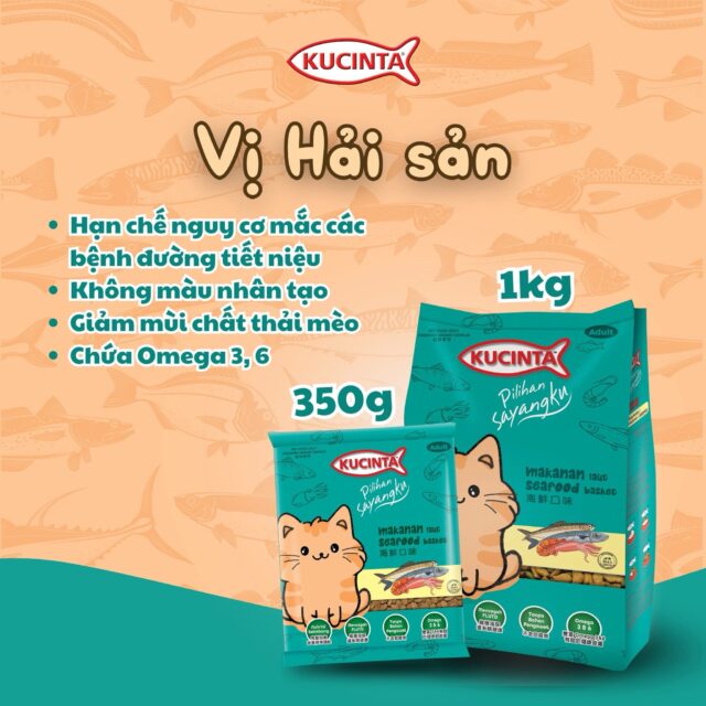 Hạt Kucinta - Ảnh 2