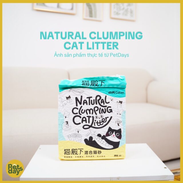 Cát đậu nành mix gỗ Cature - Ảnh 4