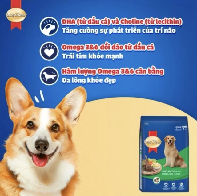 Hạt Smartheart giống chó lớn - Ảnh 4