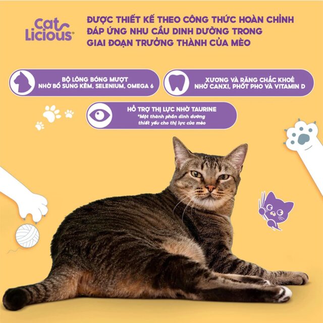 Hạt Catlicious 1kg - Ảnh 2