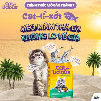 Hạt Catlicious 1kg