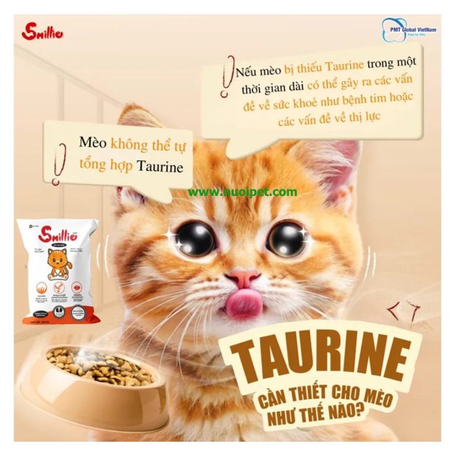 Hạt Smillie - Ảnh 3