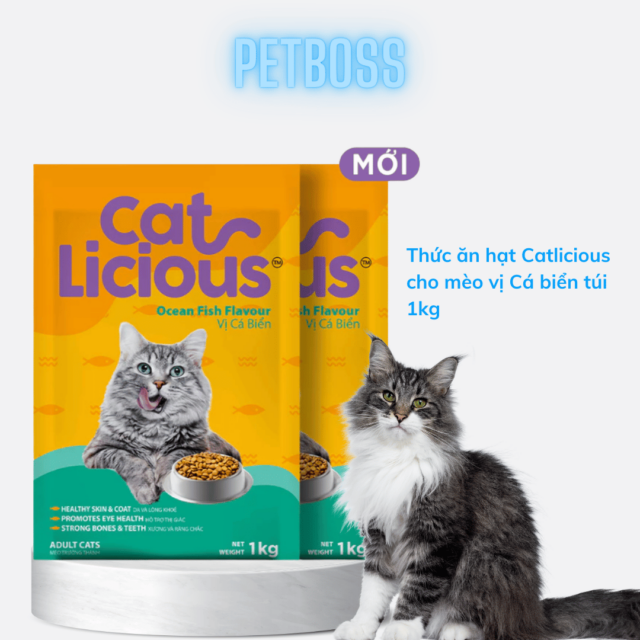 Hạt Catlicious 1kg - Ảnh 6