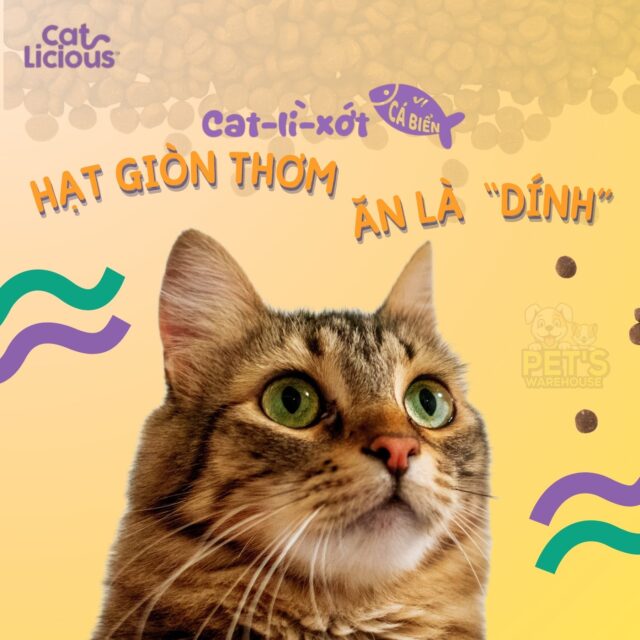 Hạt Catlicious 1kg - Ảnh 3