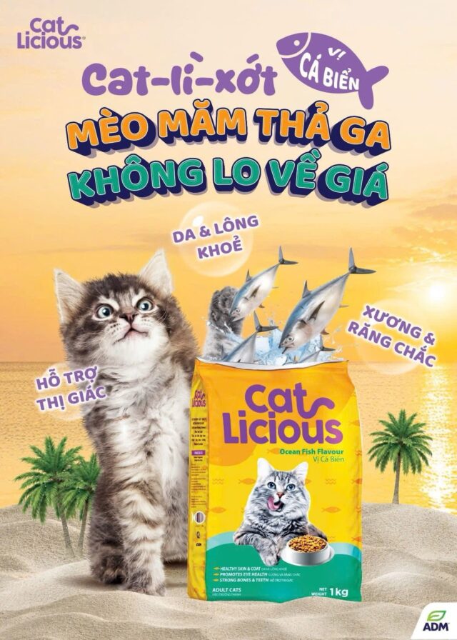 Hạt Catlicious 1kg