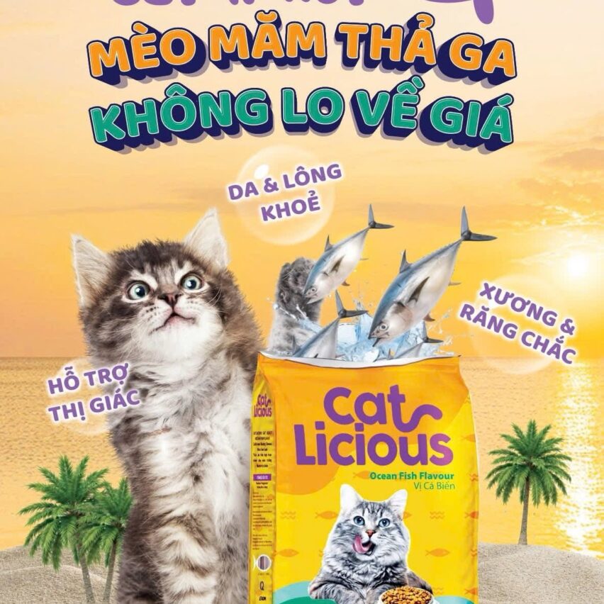 Hạt Catlicious 1kg