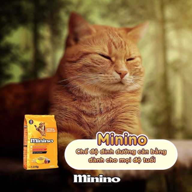Hạt Minino vị cá ngừ - Ảnh 2