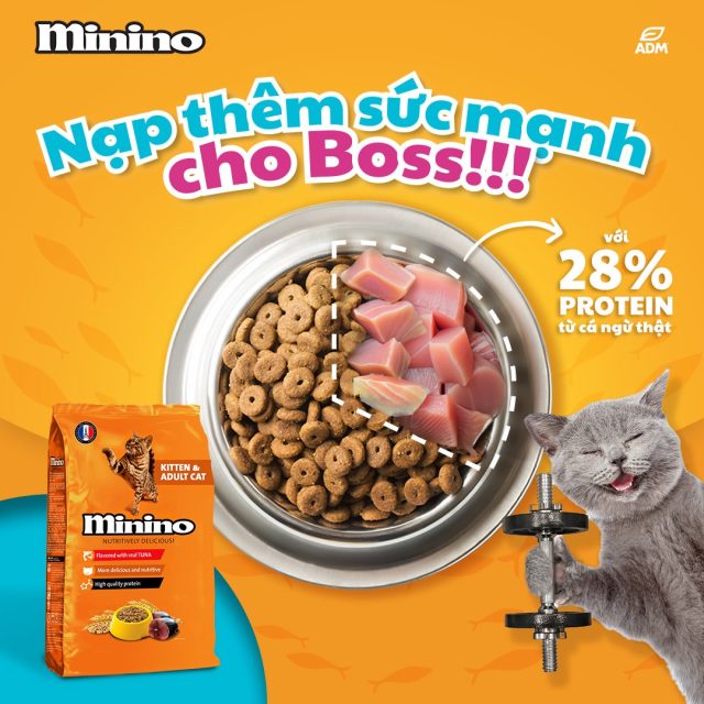 Hạt Minino vị cá ngừ - Ảnh 4