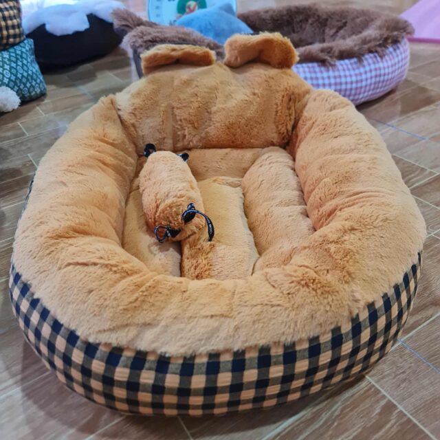 Ổ nệm bông dày 1-6kg - Ảnh 9