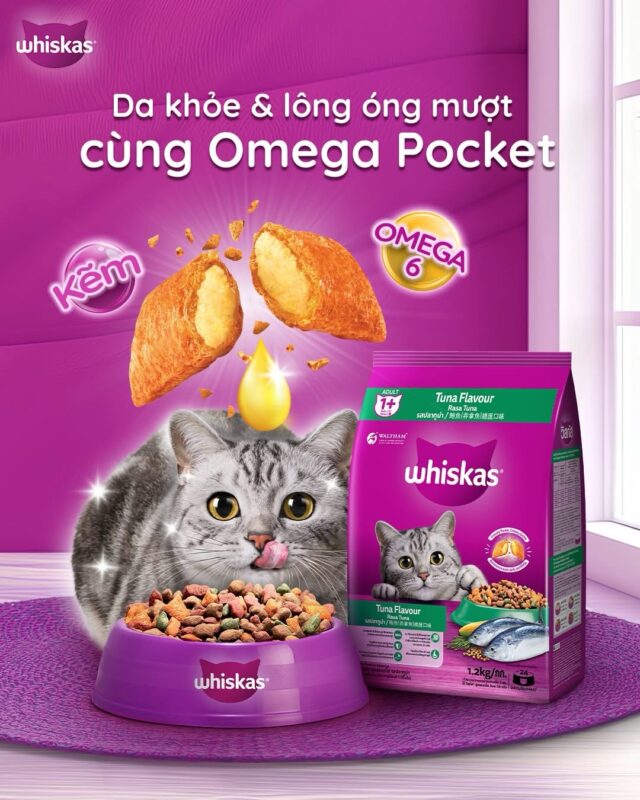 Hạt Whiskas cho mèo con 1.1kg - Ảnh 5