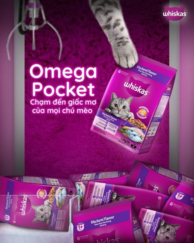 Hạt Whiskas cho mèo trưởng thành - Ảnh 2