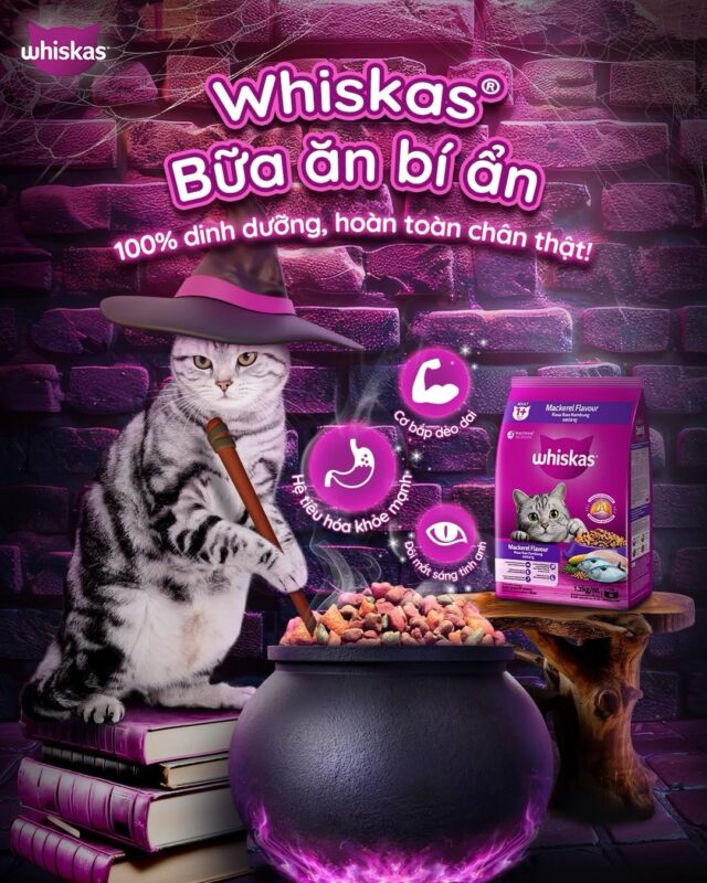 Hạt Whiskas cho mèo trưởng thành - Ảnh 3