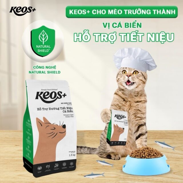 Hạt Keos cho mèo - Ảnh 3