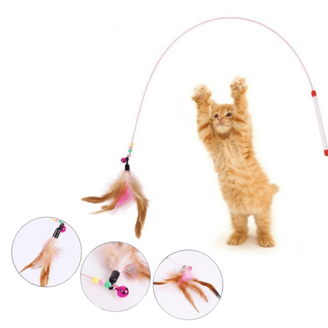 Cần câu mèo cầm tay lông vũ/ con cá/ con sâu - Ảnh 3