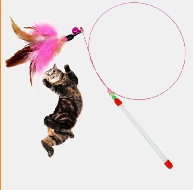 Cần câu mèo cầm tay lông vũ/ con cá/ con sâu - Ảnh 2
