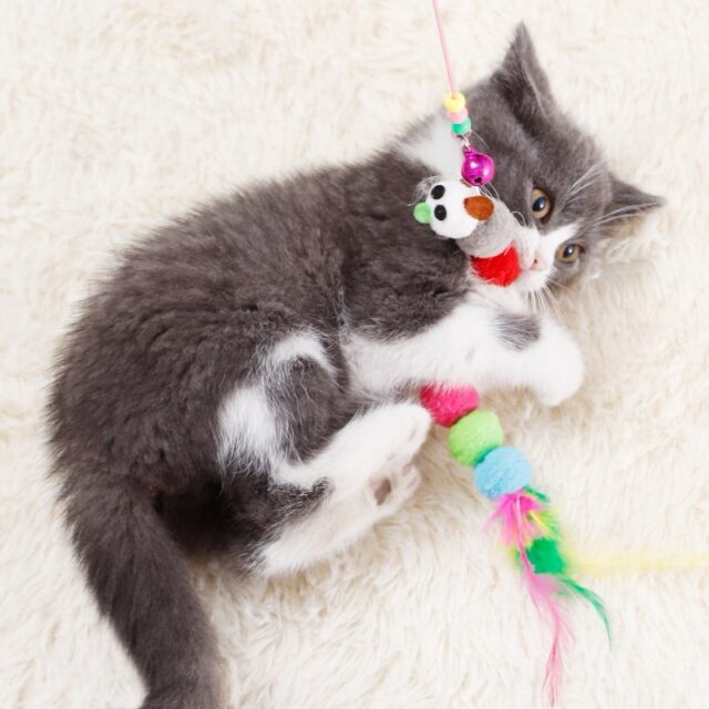 Cần câu mèo cầm tay lông vũ/ con cá/ con sâu - Ảnh 4