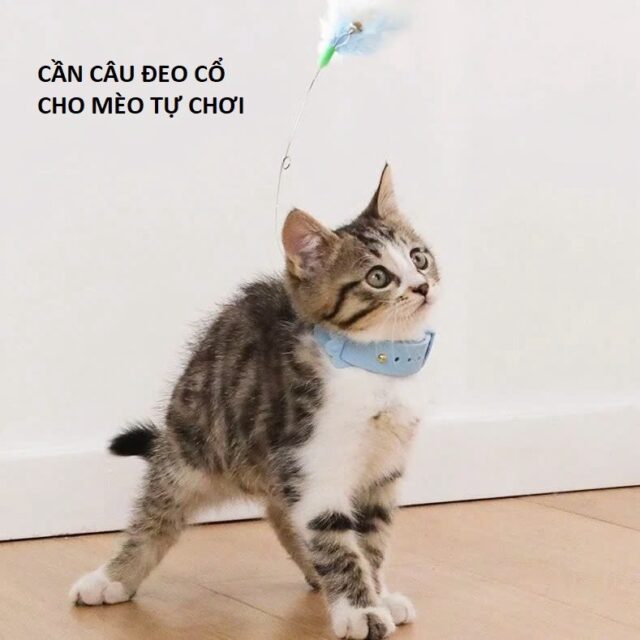 Cần câu đeo cổ/ chân bàn cho mèo - Ảnh 7