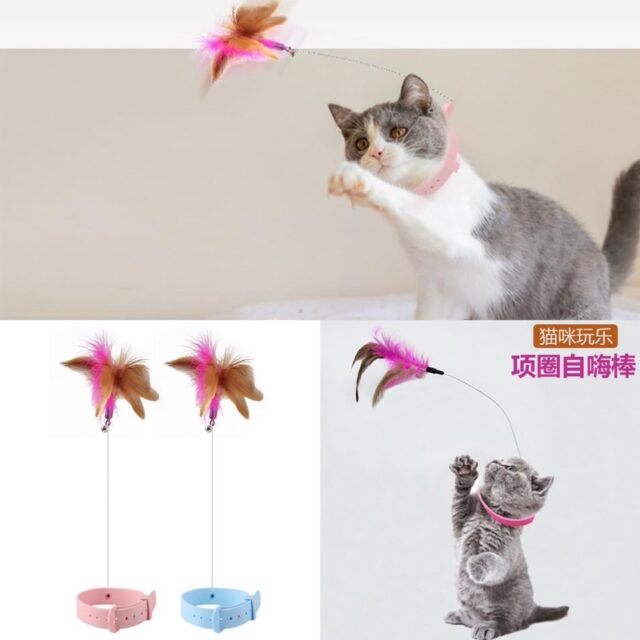 Cần câu đeo cổ/ chân bàn cho mèo - Ảnh 6