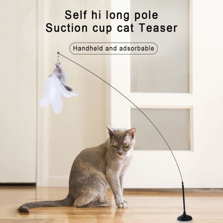 Cần câu hít sàn nhà (loại hít chắc)