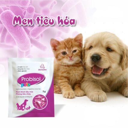 Men tiêu hoá Probisol