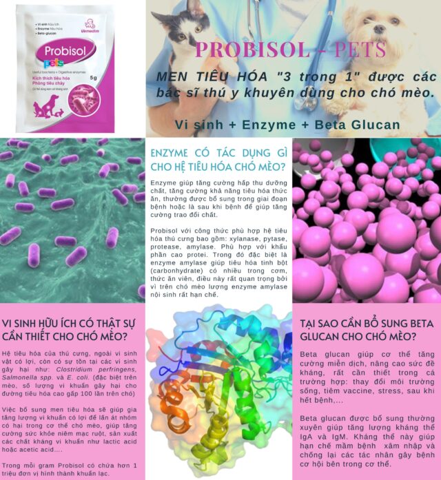 Men tiêu hoá Probisol - Ảnh 3