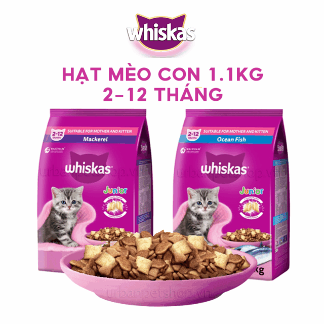 Hạt Whiskas cho mèo con 1.1kg - Ảnh 2