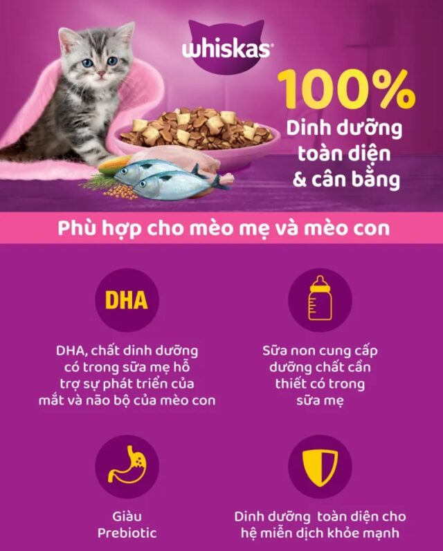 Hạt Whiskas cho mèo con 1.1kg - Ảnh 4