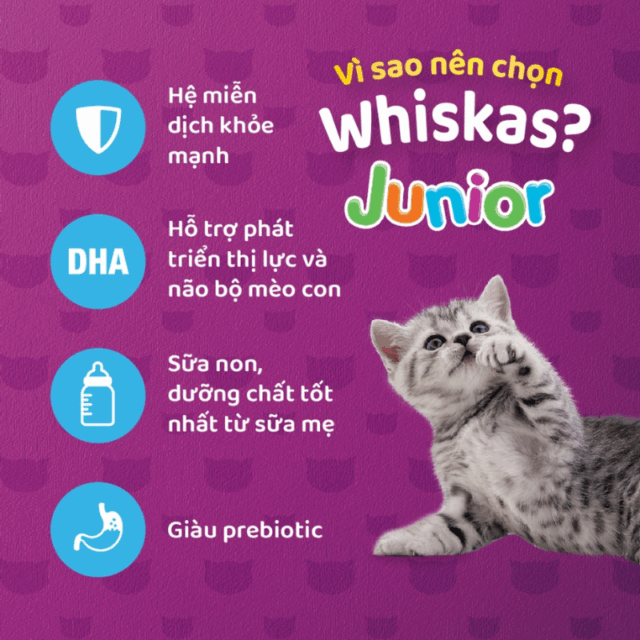 Hạt Whiskas cho mèo con 1.1kg - Ảnh 3