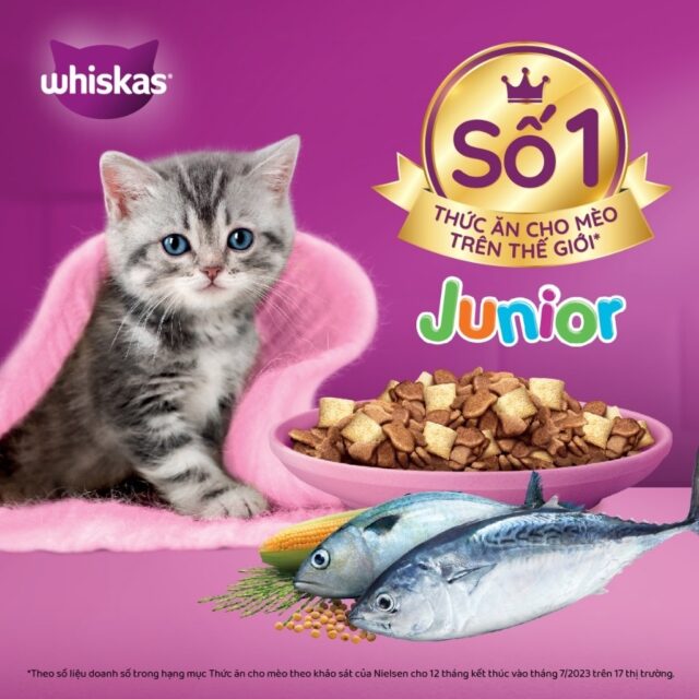 Hạt Whiskas cho mèo con 1.1kg