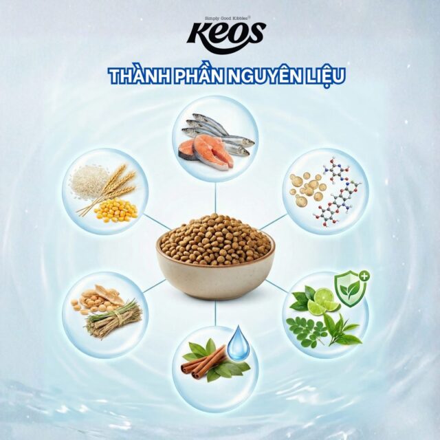 Hạt Keos cho mèo - Ảnh 6