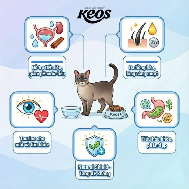 Hạt Keos cho mèo - Ảnh 10