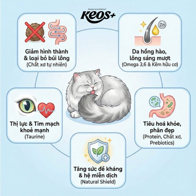 Hạt Keos cho mèo - Ảnh 11