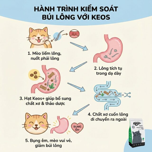 Hạt Keos cho mèo - Ảnh 12