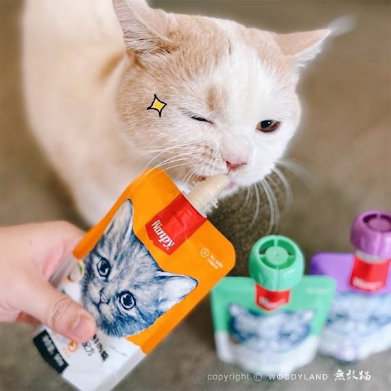 Súp thưởng Wanpy nắp vặn cho mèo - Ảnh 2