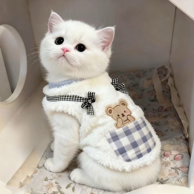 Áo bông gấu nơ caro - Ảnh 3