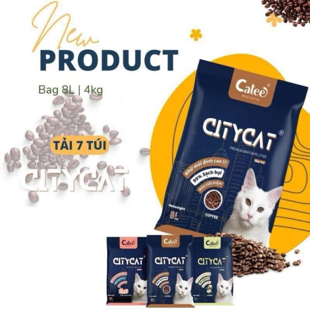 Cát đất sét CityCat