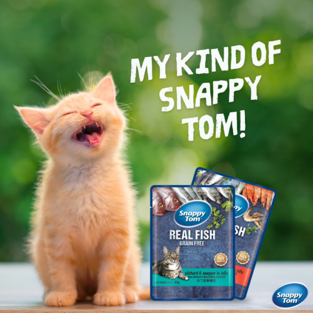 Pate Snappy Tom gói 85gr - Ảnh 2