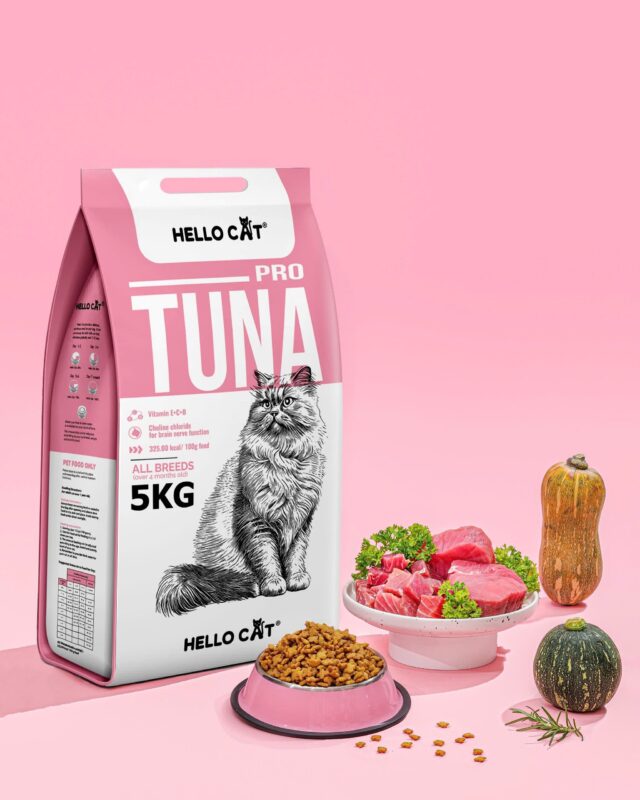 Hạt Hello Cat - Ảnh 2