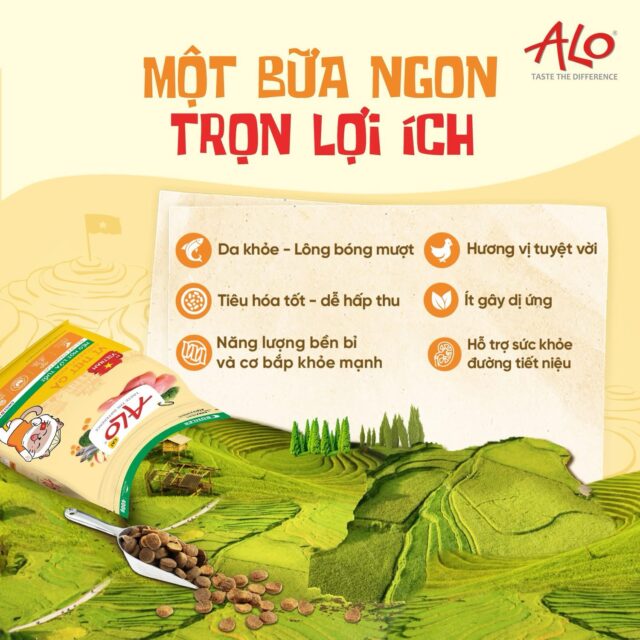 Hạt mèo Alo Cat chuẩn Việt túi 1kg - Ảnh 4