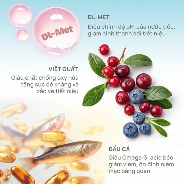 Hạt PetQ Churro túi 1kg - Ảnh 2